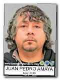 Offender Juan Pedro Amaya II