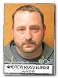 Offender Andrew Ross Elings