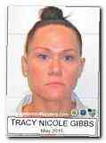 Offender Tracy Nicole Gibbs