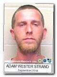 Offender Adam Wester Strand