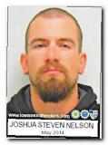 Offender Joshua Steven Nelson