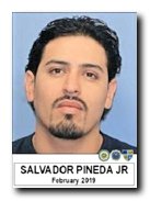 Offender Salvador Pineda Jr
