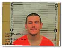 Offender Anthony Steelman