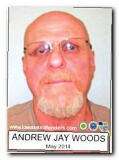 Offender Andrew Jay Woods