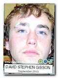 Offender David Stephen Gibson