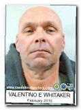 Offender Valentino E Whitaker