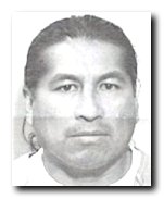 Offender Giron Primitivo