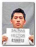 Offender Hector F Salinas