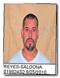 Offender Vincente Reyes-saldona