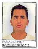 Offender Rey D Rosas-rosas