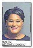 Offender Andrea Elaine Bostic