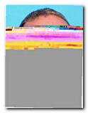 Offender Don C Kauer