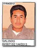 Offender Juan P Galindo