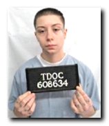 Offender Shelby Cheyenne Nunley