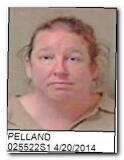 Offender Christina M Pelland