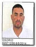 Offender Jorge M Osorio