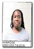 Offender Andrea Loriann Ambrose