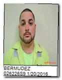 Offender Baldemar Bermudez