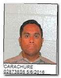 Offender Elder Carachure