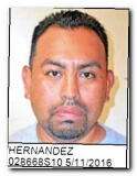 Offender Isidoro P Hernandez