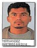 Offender Herber O Hernandez