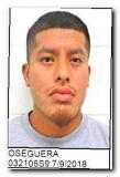 Offender Jose L Oseguera