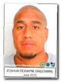 Offender Joshua Dewayne Dreesman