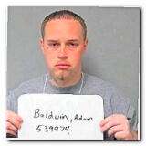 Offender Adam Rb Baldwin